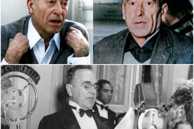 Wie konnte Stangl jahrelang friedlich in Brasilien leben?  DD