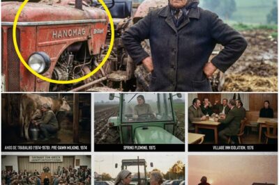 Sie war 52, Witwe, mit einem rostigen Hanomag… 10 Jahre später besaß sie 180 Hektar  DD