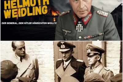 Helmuth Weidling – Der General, den Hitler hinrichten wollte  DD