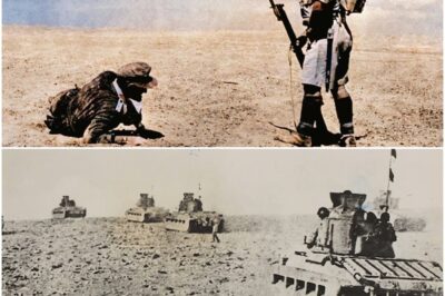 Der Wüstenkrieg: Seltene Farbaufnahmen aus Nordafrika (1941–43)   DD