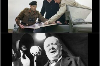 Warum Churchill Montgomery nach Market Garden nicht entlassen konnte D