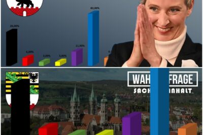 Politisches Erdbeben im Osten: AfD mit 40 Prozent unangefochten an der Spitze, während Ampel-Parteien und CDU dramatisch abstürzen