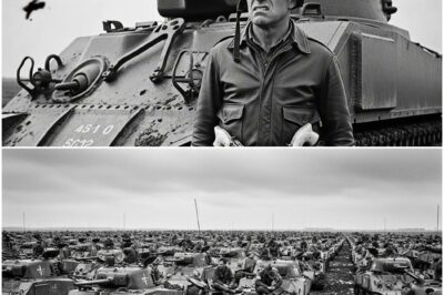 „Was Eisenhower sagte, als Montgomery drohte, zurückzutreten, falls ihm nicht jeder einzelne Versorgungslastwagen zur Verfügung gestellt würde“ D