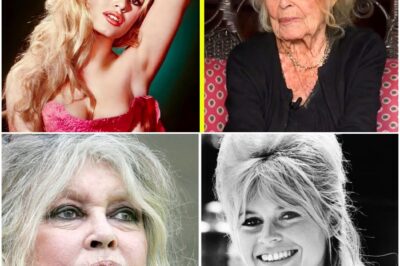 Der letzte Tanz in Saint-Tropez: Abschied von Brigitte Bardot – Zwischen Mythos, Skandalen und einer unsterblichen Legende