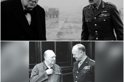 Was Churchill sagte, als Montgomery forderte, Patton solle nach dessen Rheinüberquerung entlassen werden. D