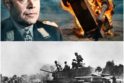 Der 20-km-Treffer, der eine Elite-Panzerdivision auslöschte | Zweiter Weltkrieg D