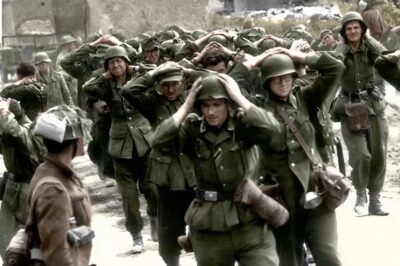 Blutige Rache in Jugoslawien: 2.000 Nazis nackt gefesselt erschossen DD