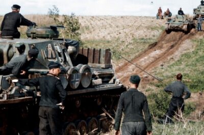 Unterschätzt und gefürchtet: War die 1. Panzerarmee die gefährlichste Streitmacht der Wehrmacht?  DD