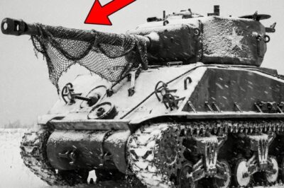 Wie ein Sergeants „WAHNSINNIGER“ Trick 47 Panzer tötete – Mit Nur EINEM Sherman  DD