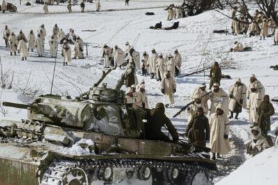 Demjansk 1942 – Als Stalin 100.000 Deutsche Verhungern Lassen Wollte  DD