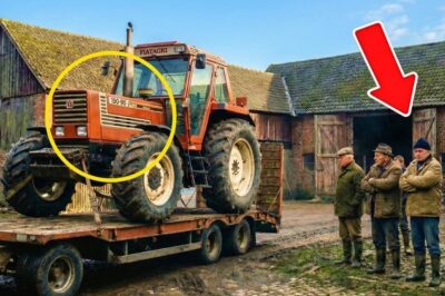 Nachbarn sagten Fiat aus Nudeln und Blech… Bis dieses Tier Fendt auf dem Acker schlug DD