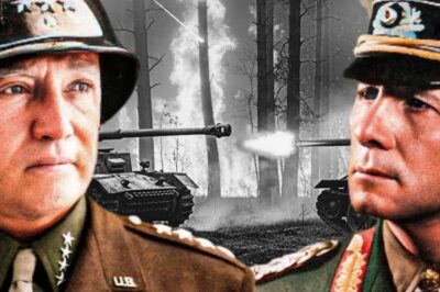 Was dachten deutsche Generäle über die alliierten Generäle?  DD