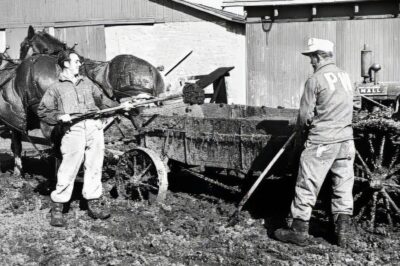 Deutsche Kriegsgefangene konnten nicht glauben, dass amerikanische Bauern deutsche Namen hatten.  DD
