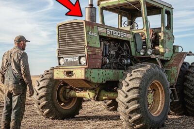 Der gigantische Steiger wurde als Schrott aussortiert… Abbezahltes altes Eisen erweckte ein schuldenfreies Imperium zum Leben.  DD