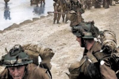 Der D-Day aus britischer Sicht: Die Geschichte, die Amerika nicht erzählt DD