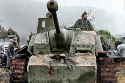 Die brutale Niederlage der Panzerdivision „Panzer Lehr“ | Eliteeinheit der Wehrmacht DD