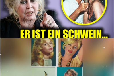 Vor ihrem Tod wurde die Wahrheit über die Ehe von Brigitte Bardot und Bernard d’Ormale enthüllt