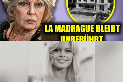Brigitte Bardots schockierendes Testament enthüllt den Erben von La Madrague