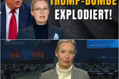 Trump schockt alle – AfD triumphiert, Merz am Boden!