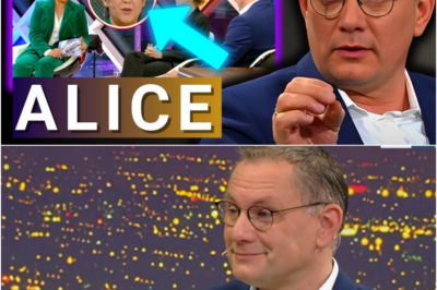 💥Rache für Alice Weidel!