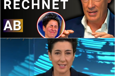 💥 DAS ENDE von Hayali & Co!?