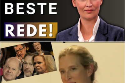 💥GÄNSEHAUT PUR⎮ALICE WEIDEL SAGT DIE UNFASSBARE WAHRHEIT! ALLE ZERSTÖRT! #afd