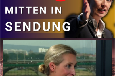 💥NOTBREMSE!⎮Geduldsfaden reißt! Alice Weidel im Interview. #afd