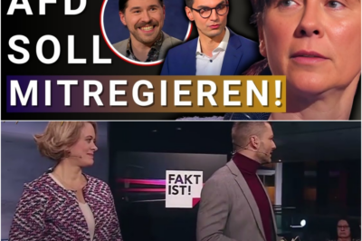 💥 Mutige Bürger sagen es CDU & SPD direkt ins Gesicht
