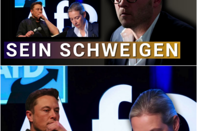 💥Frontalangriff auf Weidel & Musk! Jetzt kommt alles raus!