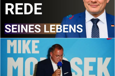💥Tino Chrupalla (AfD) enthüllt warum Friedrich Merz (CDU) Krieg will.