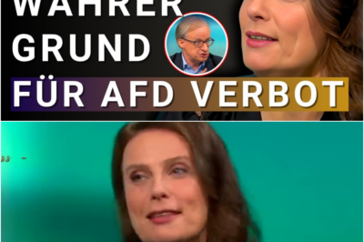 💥 Er verteidigt AfD gegen SPD