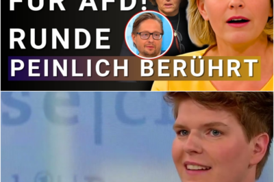 💥HÖHENFLUG! AfD im Aufwind