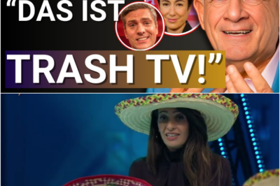 💥 Selbst bei der Volksverdummung gibt sich die ARD keine Mühe mehr