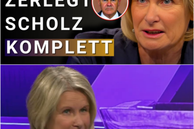 💥”Nur noch Politik für Bürgergeld-Empfänger”