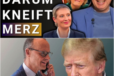 💥 USA untersagt Taurus Lieferung? – Alice Weidel & Markus Krall
