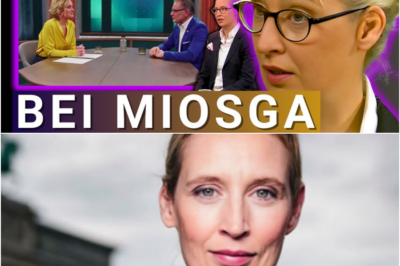 💥Alle Kanzlerkandidaten einladen – auch die AfD!