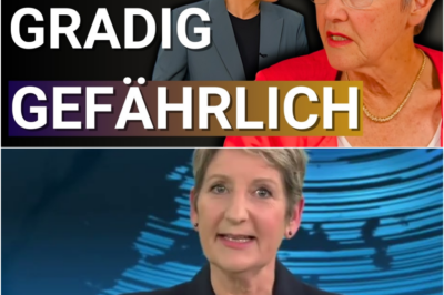 💥 Hayali vs. Krone-Schmalz – Dieser Skandal trifft ÖRR bis ins Mark
