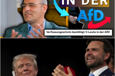 💥Insiderwissen von AfD-Mann offenbart.