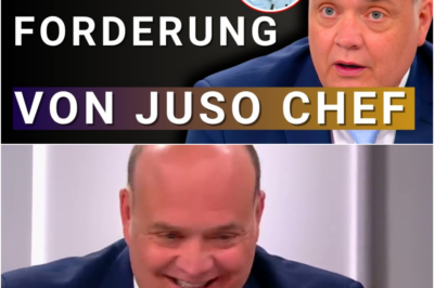 “AfD verbieten wird nicht funktionieren”