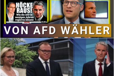 Was ist denn bei Reichelt los?