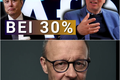 Der Widerstand kommt – Merz Totalausfall