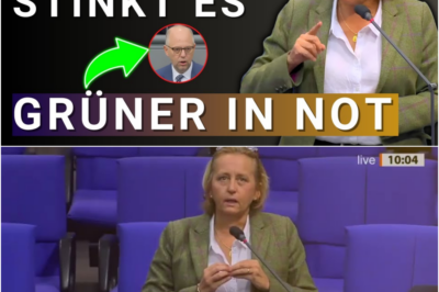 Grüner verspottet Ostwähler! Beatrix von Storch mit den WORTEN DES JAHRES!