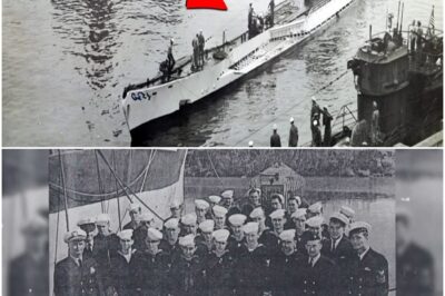 Hitlers letzter Befehl: Was U-530 wirklich zur Antarktis brachte!  DD