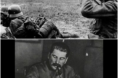 Zweite Schlacht um Charkow 1942: Wie Paulus und Kleist Timoschenkos Armeen vernichteten DD