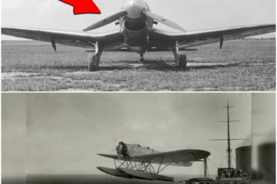 Der schnellste Jäger der Welt – 746 km/h und dann verschwunden für immer!  DD