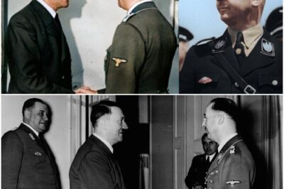 Das letzte Treffen zwischen Hitler und Himmler – Was wurde gesagt?  DD