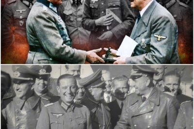 Wie sich Hitlers Generäle Gegen Ihn Wandten: Verrat im Inneren des Reiches   DD