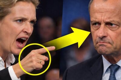 ALICE WEIDEL ZERLEGT FRIEDRICH MERZ VOLLSTÄNDIG – LIVE IM TV VOR MILLIONEN ZUSCHAUERN ! DD