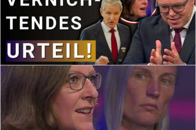 HÖHENFLUG der AfD! Kein Wunder