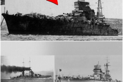 Die Marine-Katastrophe, die der Kreml 50 Jahre zu begraben versuchte – Schlachtschiff Noworossijsk!  DD